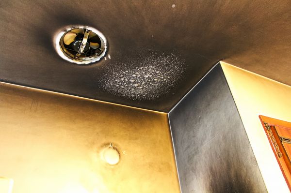 Cost of Smoke Damage Removal in Rowlett