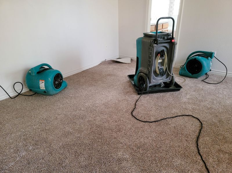 Smoke Odor Removal